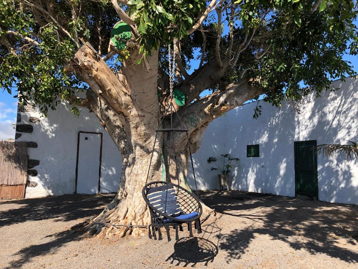 Finca Los Llanitos Guía de Isora Exterior foto